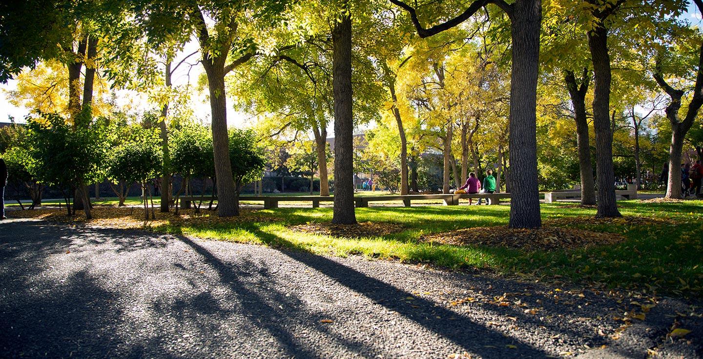 A fall afternoon on Auraria Campus.